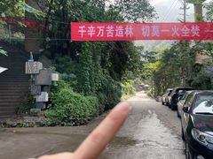 -南山植物园