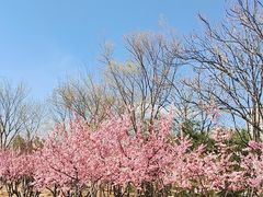 -绿堤公园