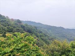 -广州市白云山风景名胜区