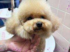 -FAELING PETS美天灵宠物(富力广场店)