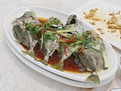 -陈记粤湛鸡饭店