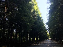 -山王坪喀斯特国家生态公园