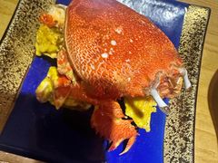 -吉兆·料理(红梅南路店)