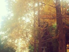 -苏州河梦清园环保主题公园