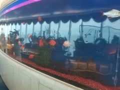 -黄金海景大酒店-旋转餐厅
