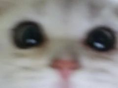 -长藤鬼校(龙翔店)