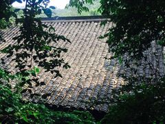 龙井菜馆-龙井壹号·茶缘山景宴(龙井村店)