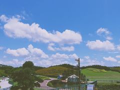 -迪茵湖田家舍生态农场