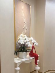 -JUVA欧华医美连锁