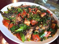 -生态苑农庄(十里画廊遇龙河店)