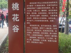 -南国桃园旅游度假区