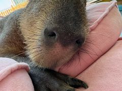 -FAIRYLAND龙族星球主题餐厅(凯丹广场店)