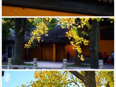 -西园戒幢律寺