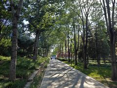 -西海子公园