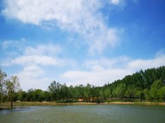 -东郊湿地公园