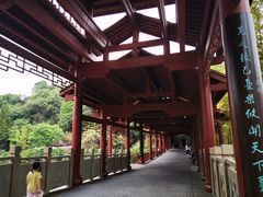 -重庆彩云湖湿地公园