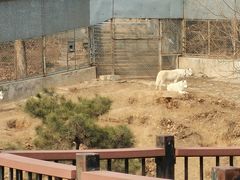 -石家庄市动物园