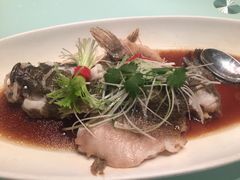 -骏莱海鲜鱼港(五角场店)
