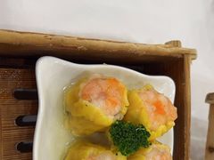 -东江渔村(皇悦店)
