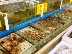 水产区-北塘海鲜·天津菜(大光明桥旗舰店)