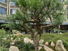 -忆江南·临江鱼馆