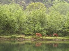 -楠溪江风景名胜区