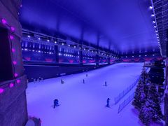 -世界之窗阿尔卑斯冰雪世界