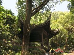 -宁波市保国寺古建筑博物馆