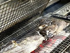 -雪熊精酿·哈尔滨烧烤酒馆(非遗大串店)