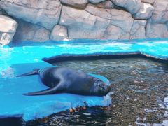 -华夏文旅海洋公园