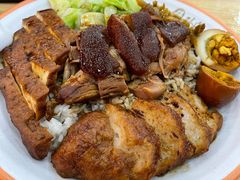 -瑞霖·隆江猪脚饭