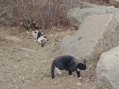 -北京西山国家森林公园