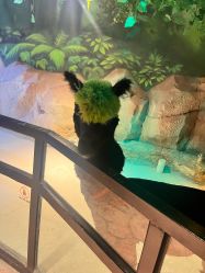 -酷嗒动物文化乐园(cutezoo西溪乐天城店)