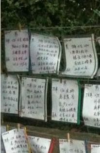 -人民公园-相亲角