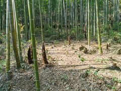 -众神白水涧景区