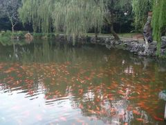 -西湖外事游船(花港观鱼码头)