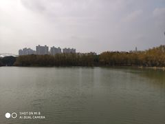 -昆山城市生态森林公园