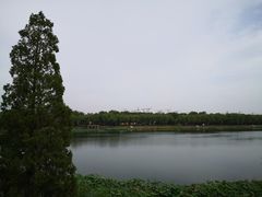 景观位-素心小筑(后沙裕镇店)