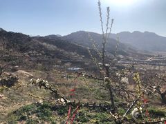-大泽山风景名胜区