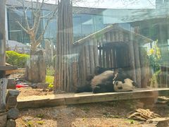 -大连森林动物园