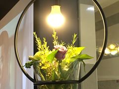 -宝鸡东道花鸟鱼虫市场(吉利花园商场店)