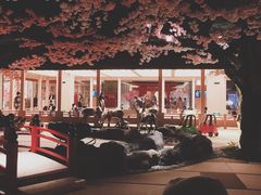 -蓝鲸湾汤泉(包河店)