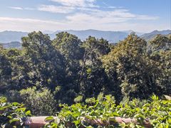 -梧桐山风景名胜区
