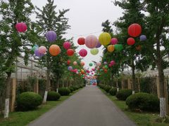 -菊园百果园