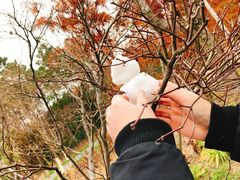 -昆山城市生态森林公园