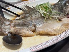 -峨嵋酒家(牡丹园店)