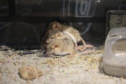 -Zoolung Zoolung动物主题公园(海信广场店)