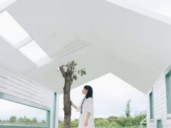 -猫米花园