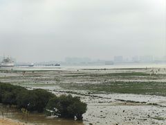 -霞山观海长廊