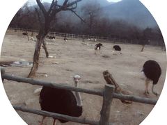 -西安秦岭野生动物园